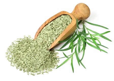 تصویر 1 از قیمت خرید مستقیم سبزی ترخون خشک از تولیدکننده